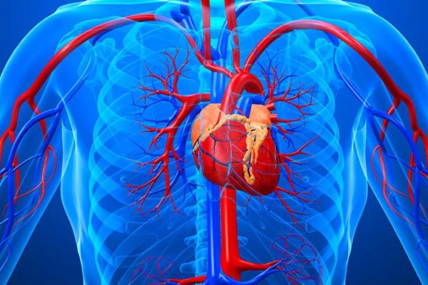 Атеросклероз аорты сердца
